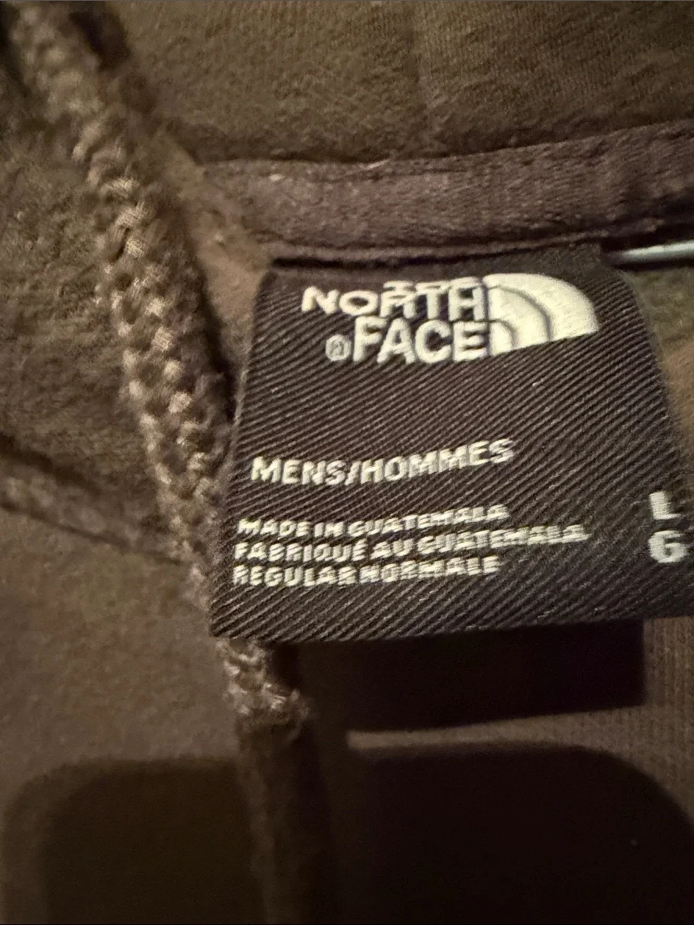 The North Face Men's Dark Brown Bear Graphic Pullover Hoodie